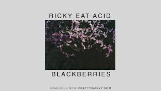 Ricky Eat Acid - Blackberries/My Angel Crying in the Rose Room (Official Audio)