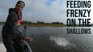 Feeding Frenzy on the Shallows  Autumn Pike Fishing in Sweden