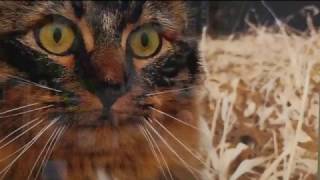 Weekend Showcase: Maple Grove Arts Center features teacher art