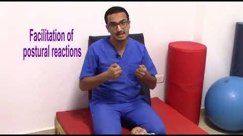 02- Bobath for CP:  Techniques used to apply NDT