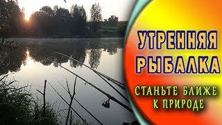 Рыбалка любит тишину. Звуки природы на рыбалке