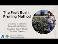 Fruit trees  the bush method of keeping fruit trees small with ed laivo
