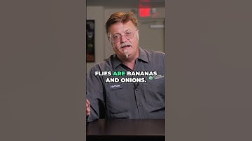 Where Do Fruit Flies Come From? #shorts