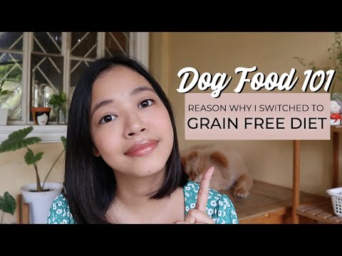 Best dog food for puppies in the Philippines? Usapang GRAIN FREE DIET (Vlog#36)
