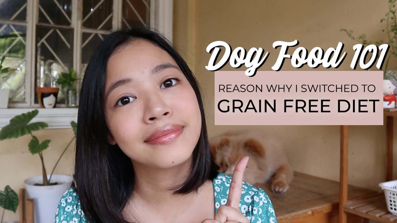 Best Dog Food For Puppies In The Philippines Usapang GRAIN FREE DIET