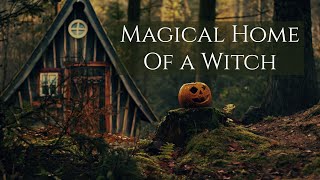 Magical Home of a Witch - sunset, cozy little hut in a forest, where a good witch lives with her cat screenshot 3