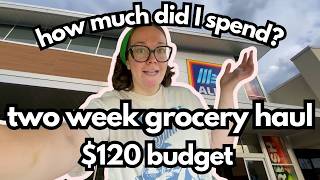 Two week grocery haul for a family of two under $120! Can it be done in 2026?! screenshot 3