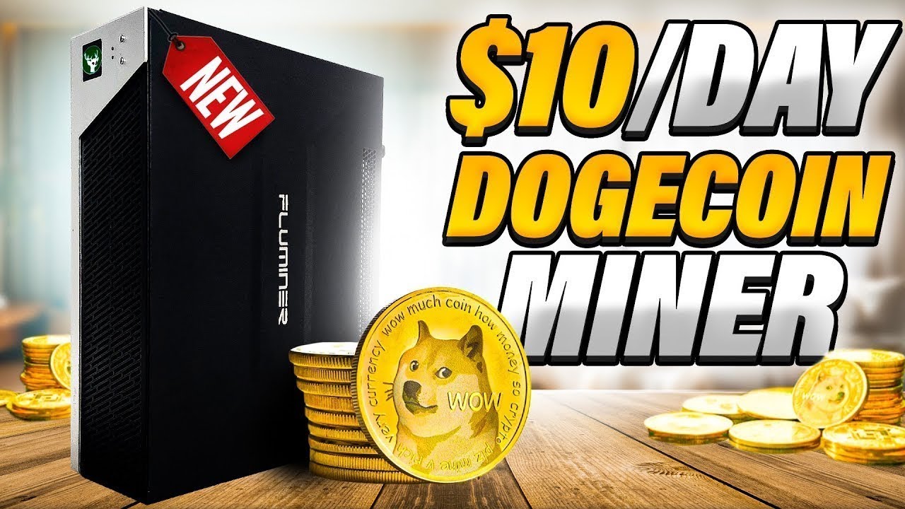 NEW Home DOGE Crypto Miner Makes $10/Day! FluMiner L1 Miner