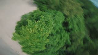 Proxy training in the 🌴🌴 | FPV Freestyle