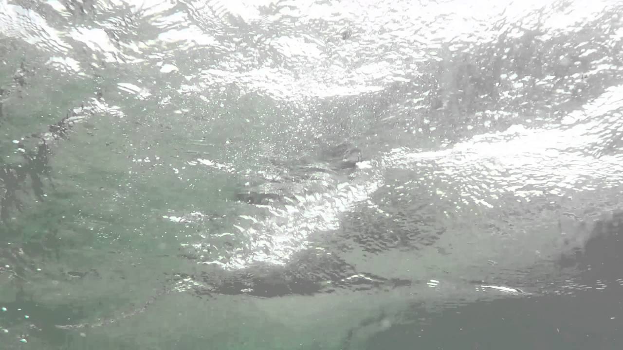 San Marcos River Foundation