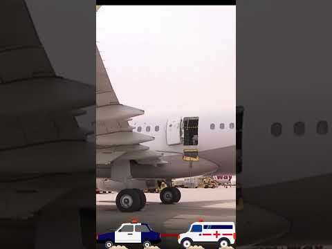 South Korean Police detained a 33-year-old man who opened plane door before landing