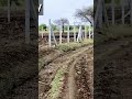 @#landforsale #sangareddy #zaheerabad #Raikod 1Acer # agriculture #famhouse #guesthouse 9553561786