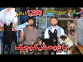 گرگ حمید بچه حاجی 1 200 دالر باغ وحش کوچک انواع و اقسام مختلف پرنده گان و حیوانات Wazha 