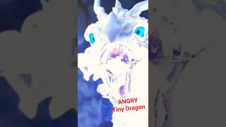 Angry Tiny Dragon 🔥 Big Fire #dragons #batlle #english #magic #family #predator #secret #ai #newyork