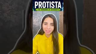Kingdom Protista Explained in 60 Seconds | Unicellular Eukaryotes | Amoeba, Euglena & More!