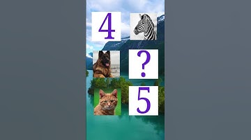 Test Your Memory With This Animal Challenge!