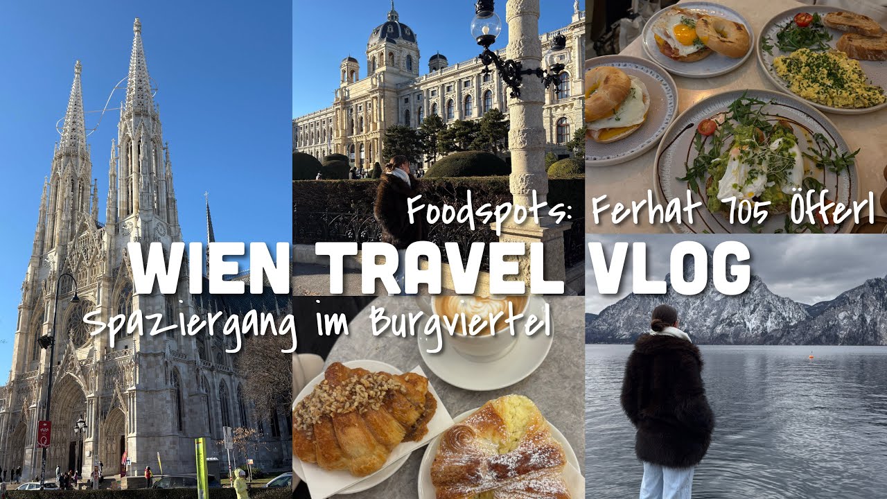 WIEN TRAVEL VLOG ✨ FOODSPOTS: Ferhat, 705, Öfferl + Össtereichische Küche im 12 Apostellkeller