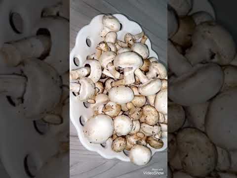 ئامادەکردنی قارچک کوارگ