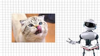 DATA AUGMENTATION #reels #data #video #learning #ai 