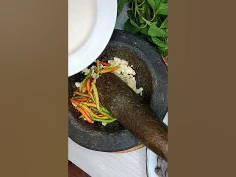 หมึกหอย หรือ หอยงวงช้างกระดาษผัดกระเพรา #food #เมนูง่ายๆ #อร่อย ...