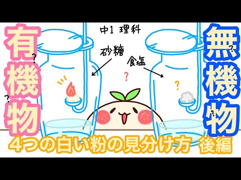 【中1理科c11】砂糖と食塩の違い…有機物？無機物？４つの白い粉の見分け方(後編)