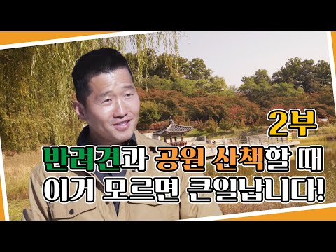 반려견과 <strong>공원</strong> 산책할 때 이거 모르면 큰일납니다! -북서울 꿈의 <strong>숲</strong> 2부