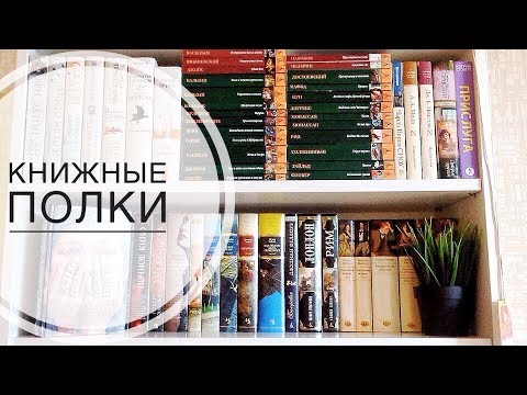 КНИЖНЫЕ ПОЛКИ #1 | Время интересных историй