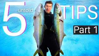 Tips on Spearfishing Yellowtail / Kingfish (Speargun and Flasher) - PART 1