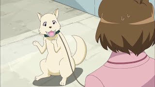 Fresh Pretty Cure Animal Body Swap