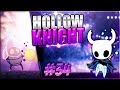 EL GUARDIÁN DE CRISTAL ENLOQUECIDO Y LA CORONA DE HOLLOWNEST | Hollow Knight #34