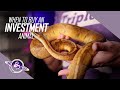 Leveraging Ball Python Projects to MAXIMIZE Results | #ballpython #reptiles #snake