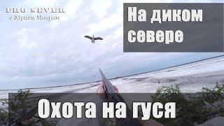 Охота на гусей. Goose hunting. на Буране по воде.