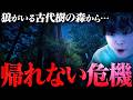 【事件発生】アメリカにある『オオカミのいる古代樹の森』に行ってみた結果……。
