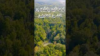 🌳🌿#alfatihah #egzonibrahimi #allah #rahman #rahim #elhamdülillah#love