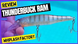 Whiplash Factory - Thunderbuck Ram 107Sp. Seria A Isca Perfeita?