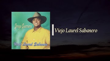 Jorge Guerrero - Viejo Laurel Sabanero