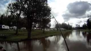 Crappie fishing silver lake 4/1/14 Cowlitz county