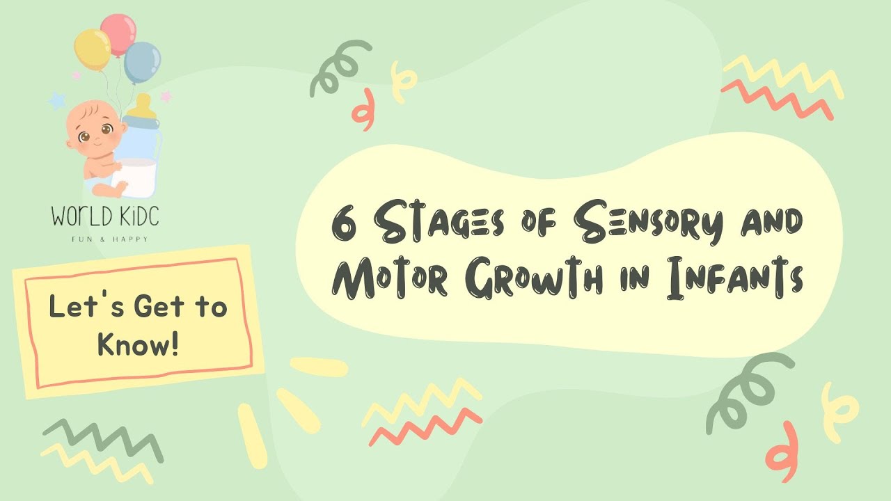Let's Get to Know About 6 Stages of Sensory and Motor Growth in Infants - World KiDC
