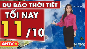 Dự Báo Thời Tiết Tối Ngày 11/10: Miền Bắc Cục Bộ Quang Mây, Trời Lạnh, Khô Ráo| ANTV