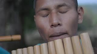 La sinfónica de Los Andes | Tráiler