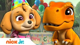 PAW Patrol Pups Celebrate Baby Dino's Birthday! | Nick Jr.