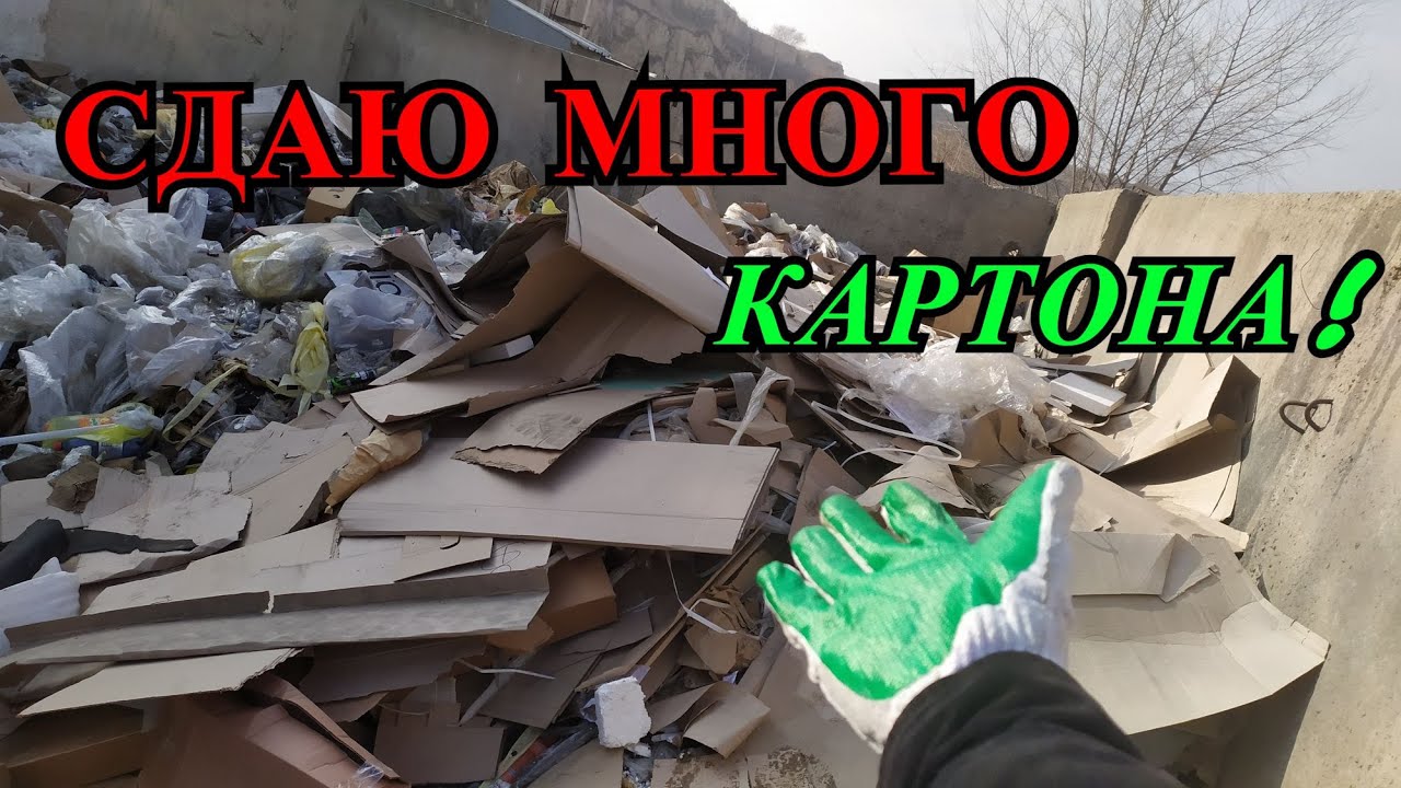 ПОИСК КАРТОНА НА СВАЛКЕ! СДАЧА КАРТОНА В ПУНКТ ПРИЕМА ВТОРСЫРЬЯ! КАК ...
