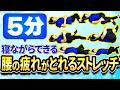 【5分で腰痛を楽に】腰の疲れ・張りを解消する!寝ながらできるストレッチ!