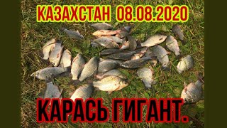 Рыбалка в Казахстане 08.08.2020.Нура. Караси гиганты
