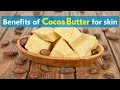 Benefits of Cocoa Butter for skin - YouTube