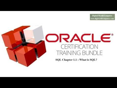 Chapter 1.1 What is SQL