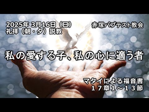 私の愛する子、私の心に適う者　マタイによる福音書17章1～13節　2025/03/16　赤塚バプテスト教会（朝・夕）礼拝説教　石堂雅彦牧師