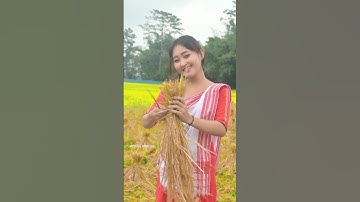 🌾🌾Motengoné Arikdo🌾🌾 | Mising Song ! Mising Koneng ! #misingkoneng #misingsong #shorts