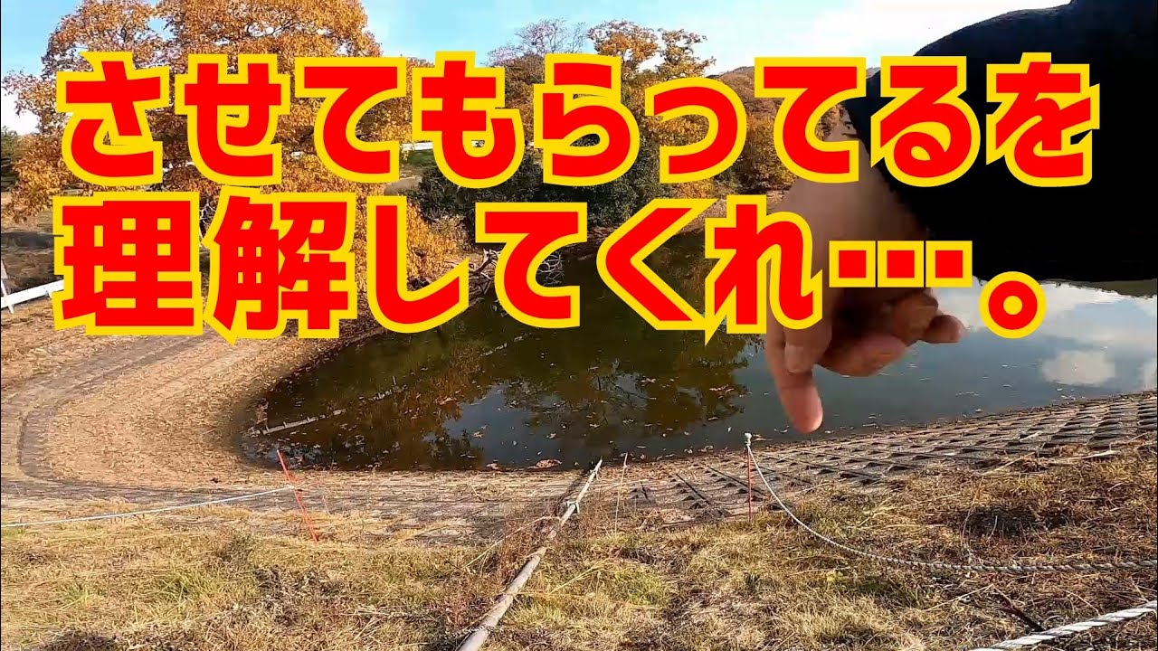 【バス釣り】自分ファーストの人ばかりでやれやれだぜ…。😅  #バス釣り #バスフィッシング  #岡山バス釣り #野池バスり #野池 #溜め池