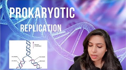 Prokaryotic Replication | leading & lagging strands| Okazaki fragments| CSIR | PART 1 of the series